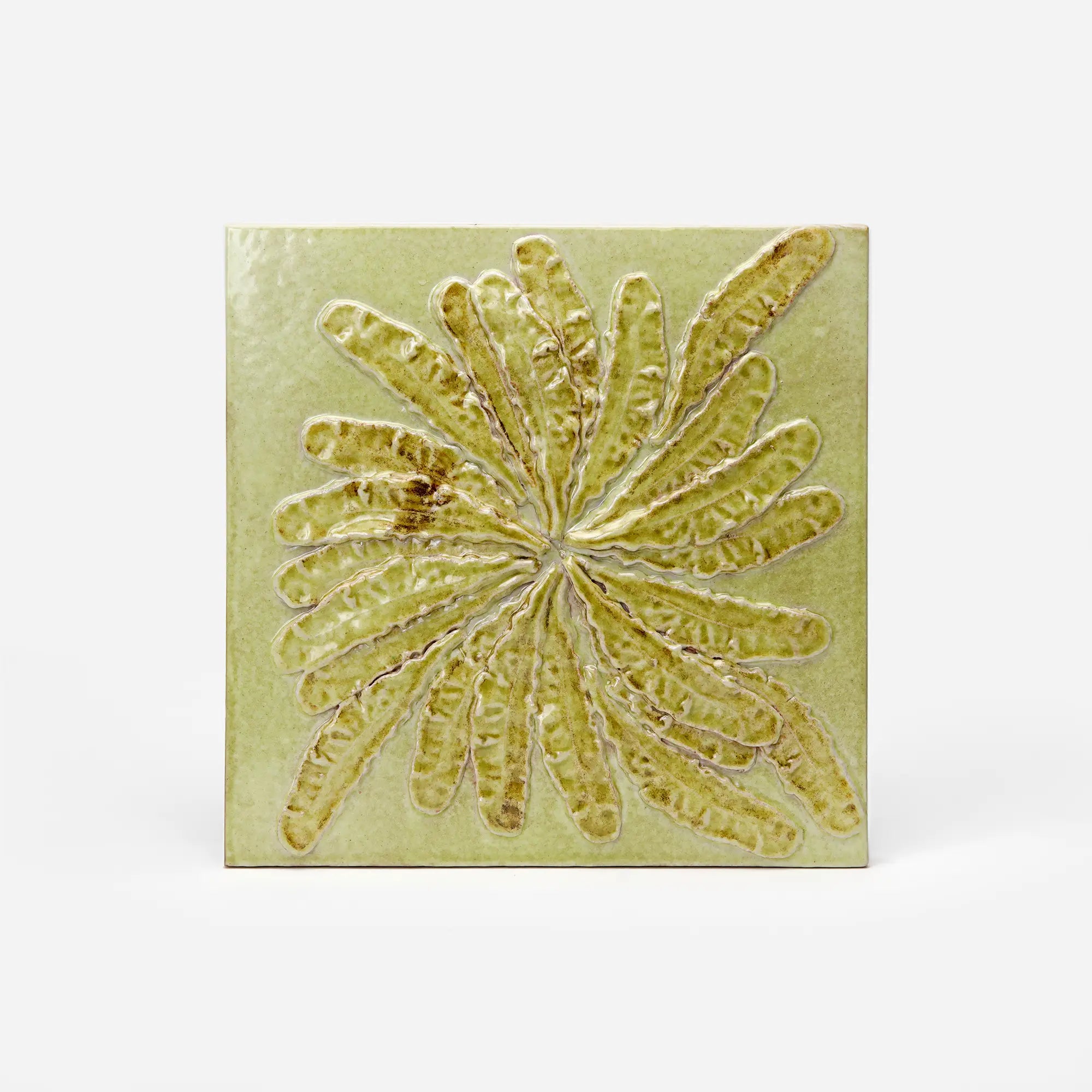 Foglia Decorative Tile